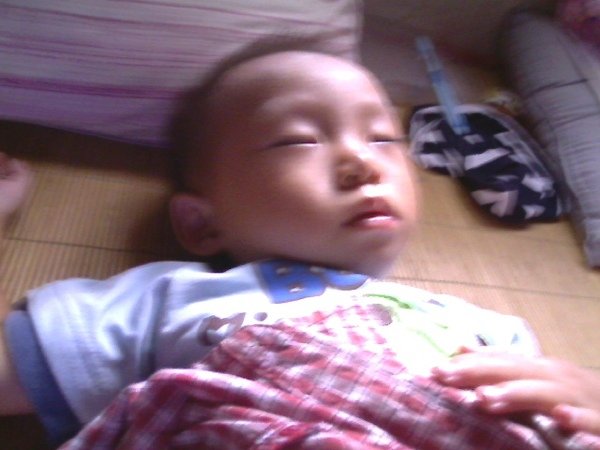 Picture 238.jpg