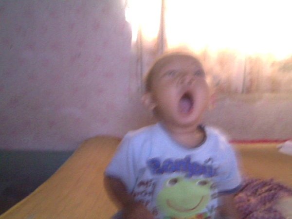 Picture 253.jpg