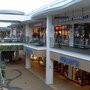 SL374554.JPG