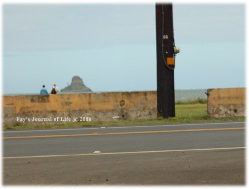 hawaii13.jpg