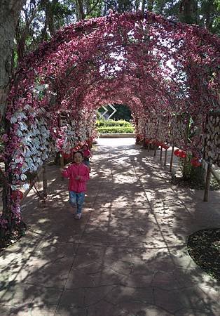 IMAG0717.jpg