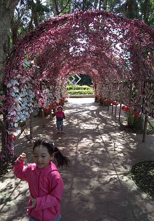 IMAG0718.jpg
