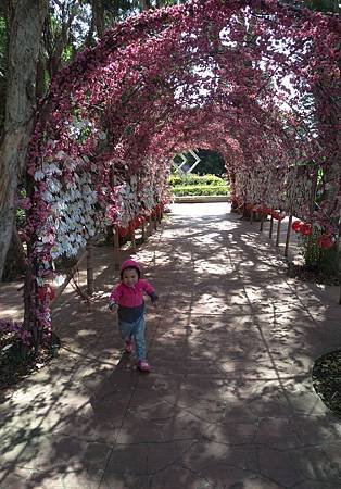 IMAG0719.jpg