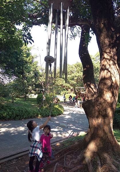 IMAG0649.jpg