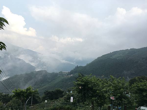 IMG_2894.JPG