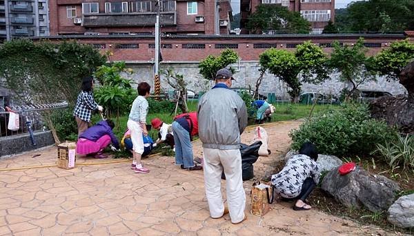 1096.10.30碇內公園除草種花_171031_0007