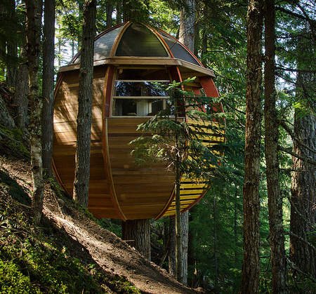 tree-house-5