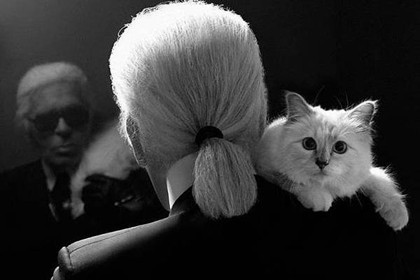 karl-choupette