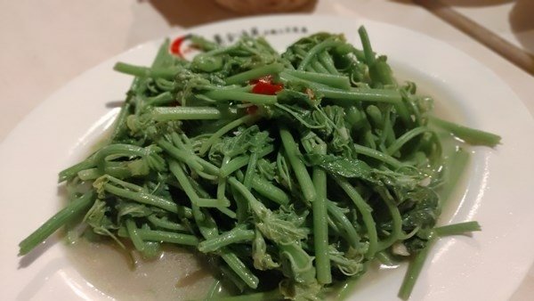 竹北美食餐廳推薦