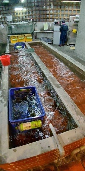 海鮮餐廳