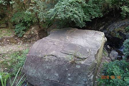 7BDEEB7D-28E7-4077-BA05-74A2EC2FA850.jpg