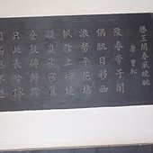 P1010084.JPG