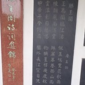 P1010077.JPG