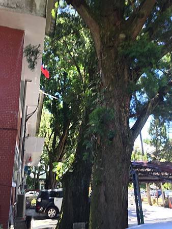0F9299B0-441D-4793-8EF7-FC5FC395E4A3.jpg