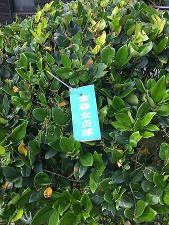 C88FA98C-ABF4-4926-B168-D56E3C0F1EDF.jpg