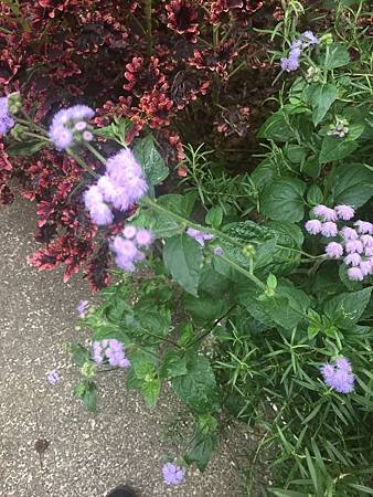 38E19E99-96ED-42EB-9AE4-AF2AD88730F7.jpg