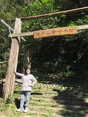 51769C01-A790-488C-93FC-2B7EBF7407DB.jpg