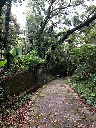 111年起單車探訪大溪龍潭