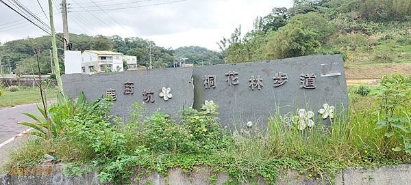 111年頭份鹿廚坑三灣落羽松健行