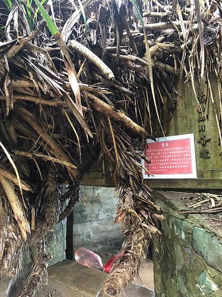 112年金山健行--(獅頭山公園磺港魚港水尾漁港)