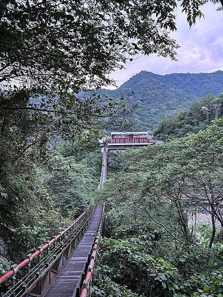 113年到阿里山達娜伊谷旅行