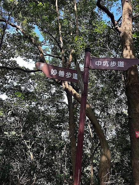 113.114年鶯歌山登山健行