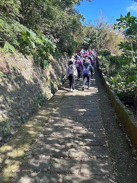113年觀音山健行