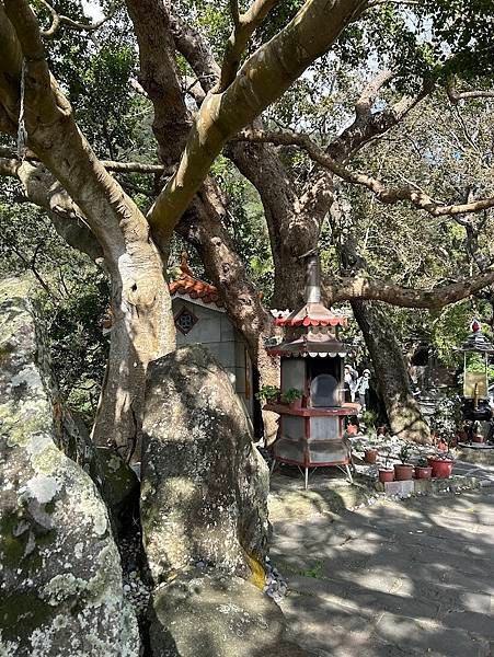 113年觀音山健行