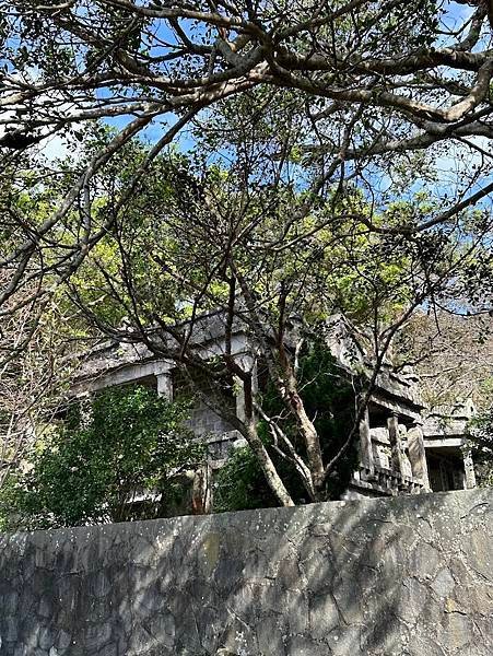 113年觀音山健行