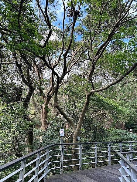 113年觀音山健行