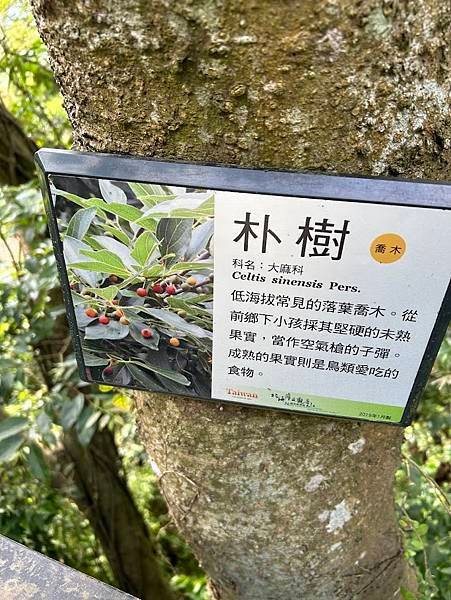 113年觀音山健行