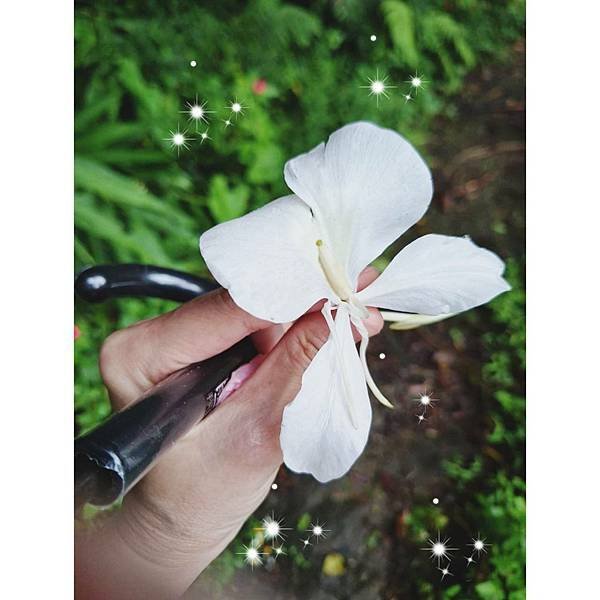 一宿雖然有哭泣，早晨便必歡呼