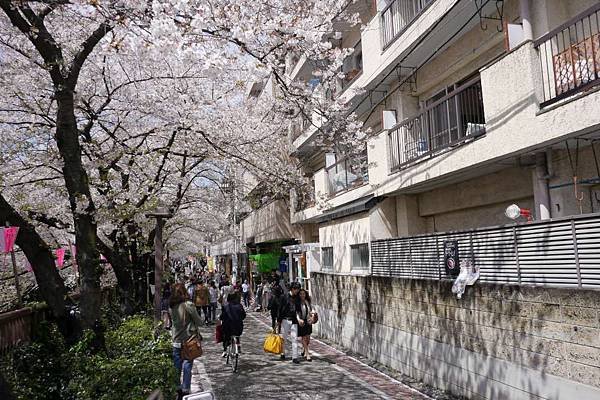 P1020347-1000.jpg