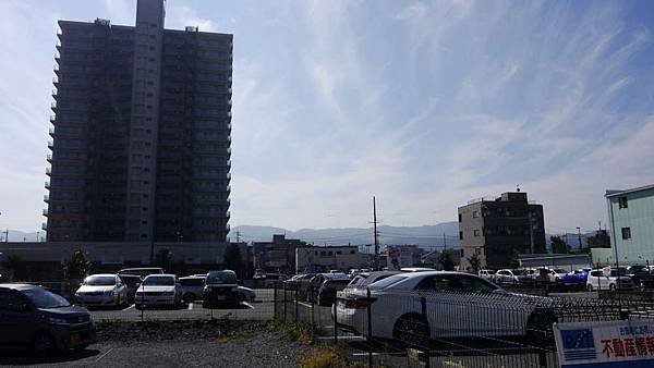 P1040265-1000.jpg