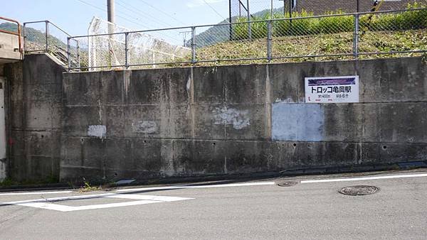 P1040269-1000.jpg