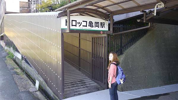 P1040274-1000.jpg