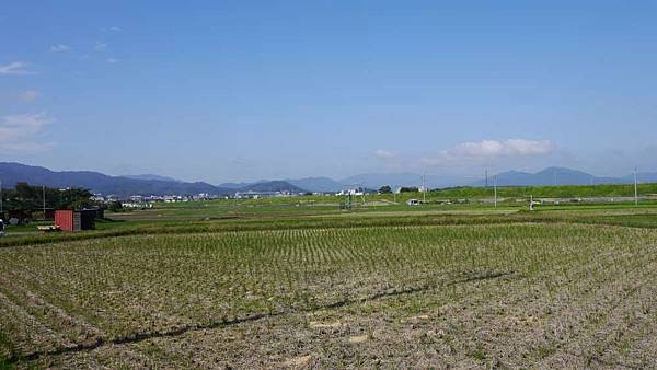 P1040273-1000.jpg