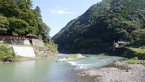 P1040301-1000.jpg