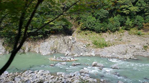 P1040338-1000.jpg