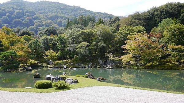 P1040404-1000.jpg