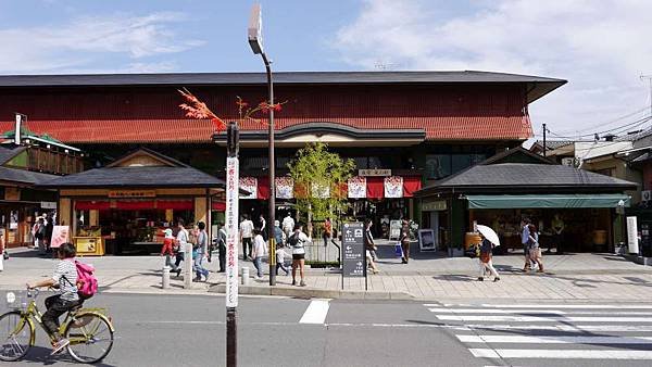 P1040428-1000.jpg
