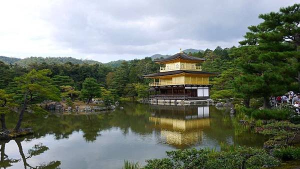 P1040456-1000.jpg