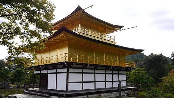 P1040461-1000.jpg
