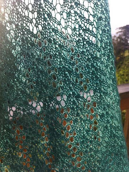 lace_Strangling Vine Lace Scarf 蕾絲圍巾(一絞).jpg