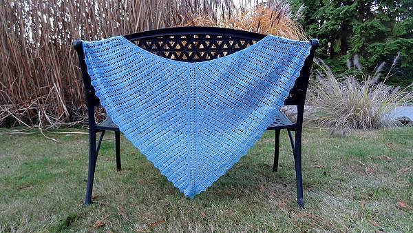 Seraphine’s Shawl 披肩(二絞).JPG