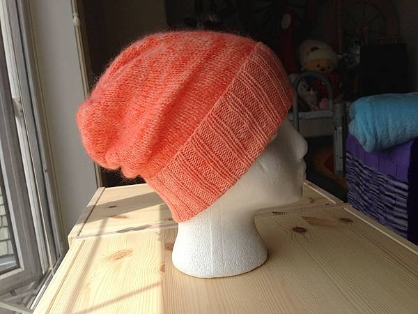 New Simple Pleasures Hat 新簡單帽子(0.7絞)2.jpg