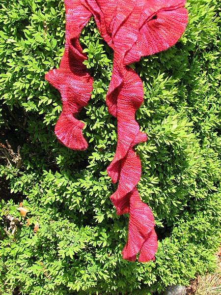The Helix Scarf (一絞)2.JPG