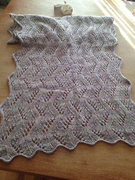 Meandering Vines Shawl 披肩(一絞)2.jpg