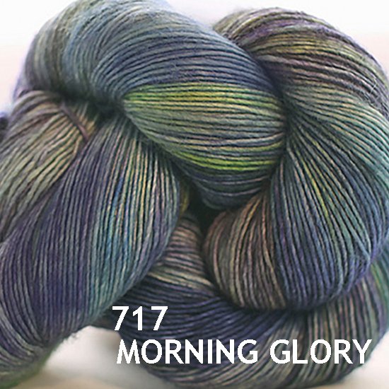 717 morning glory s.jpg