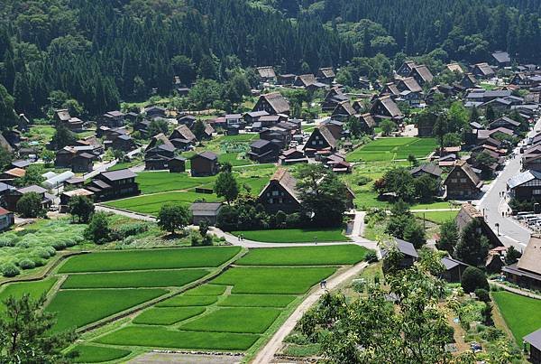 白川鄉夏天